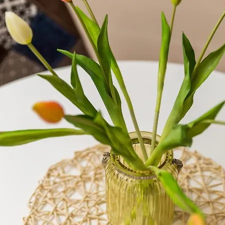 Carolina Appartement *